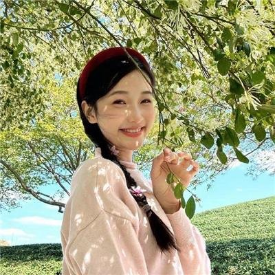 网美嬉游记海报